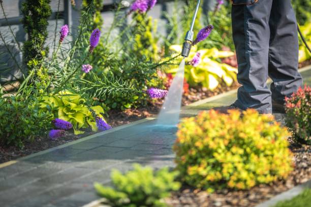 Best Animal Enclosure Cleaning  in Sugar Creek, MO