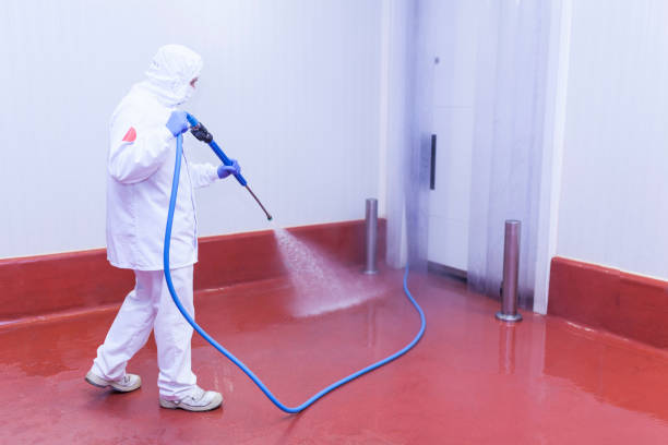 Best Paint Preparation  in Sugar Creek, MO